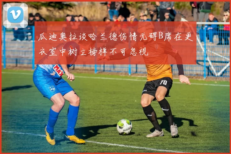 瓜迪奥拉谈哈兰德伤情无碍B席在更衣室中树立榜样不可忽视